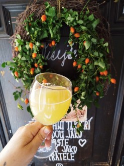 ukázka nápojů ukázka nápojů